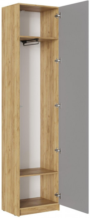 Модульная прихожая Роджина, композиция 3 (Графит, Дуб Крафт Золотой)