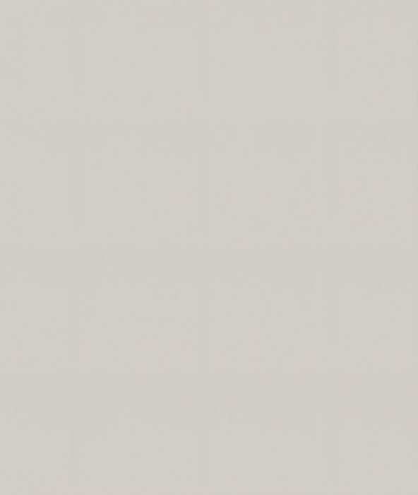 Ф-11 Альфа (ШН1Я 300) МДФ холст белый