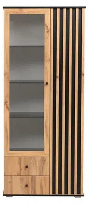 Шкаф комбинированный Либерти 51.02 (опора h20) Дуб вотан/Черный